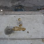 Barefoot footprint in dog shit