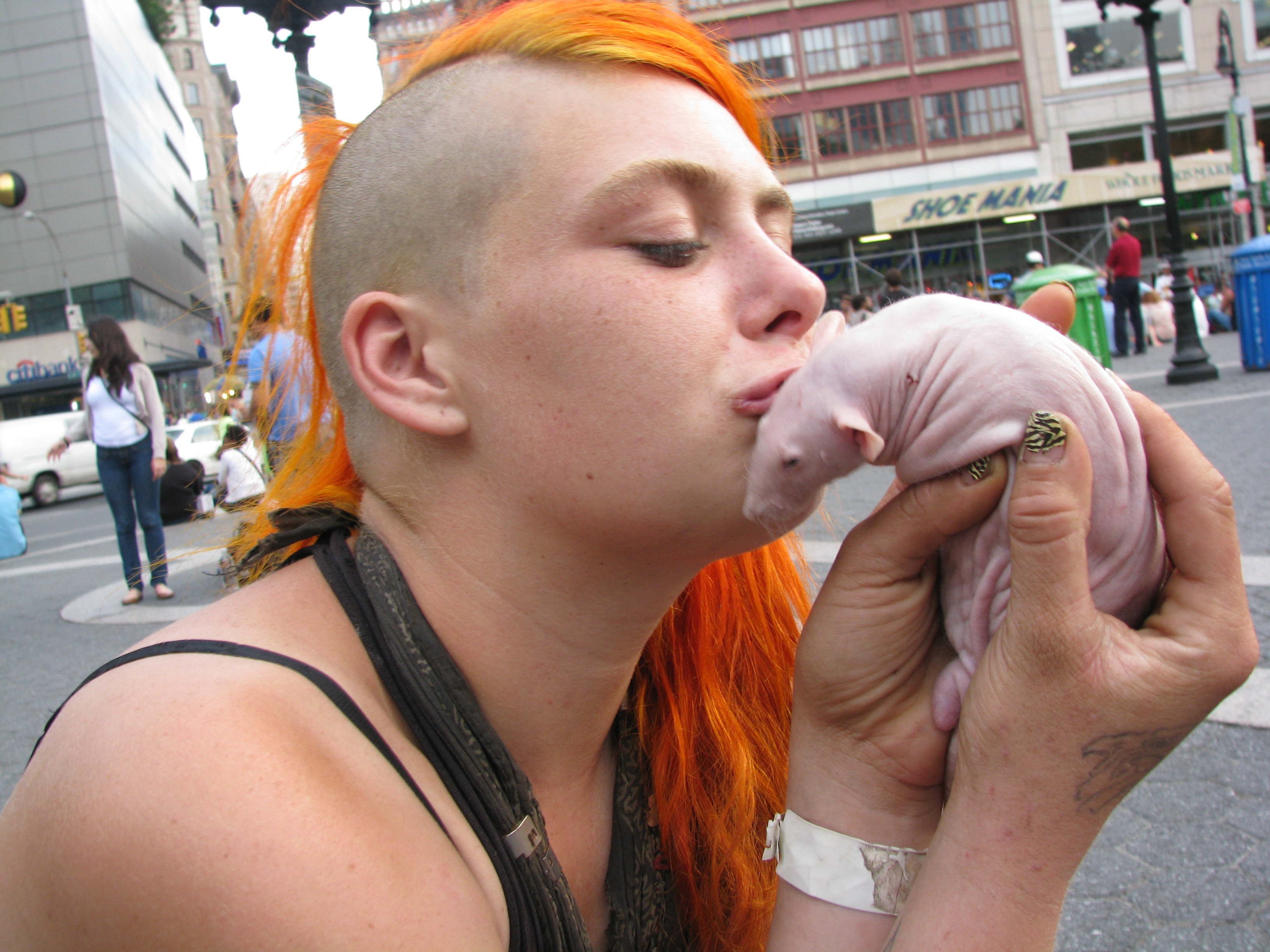 punk girl kissing bald rat