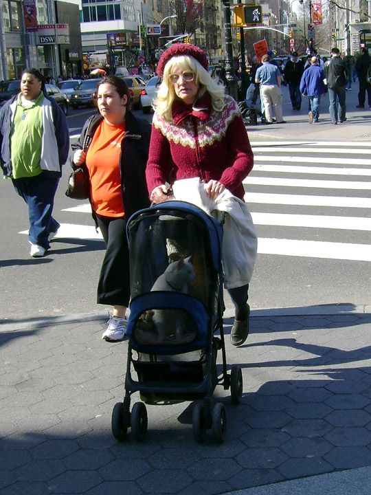 Man dressed as woman pushing cat in stroller